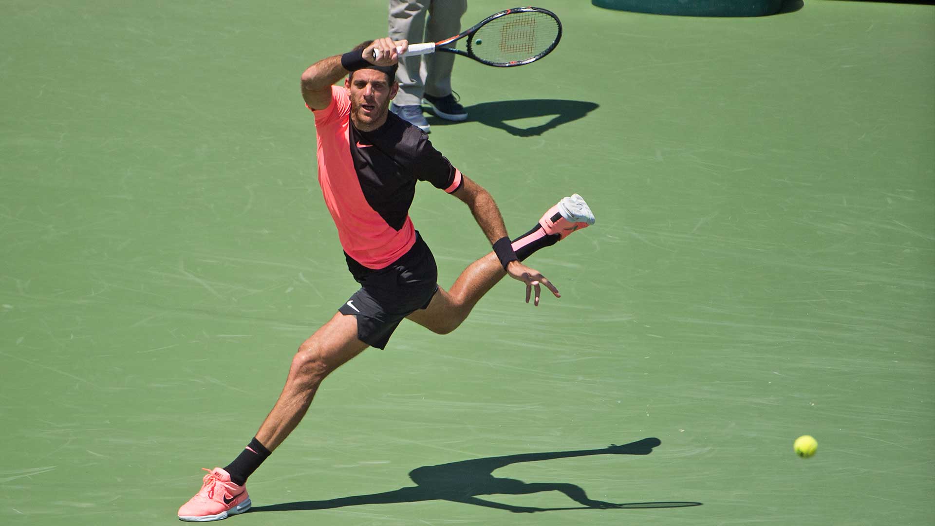 Del Potro