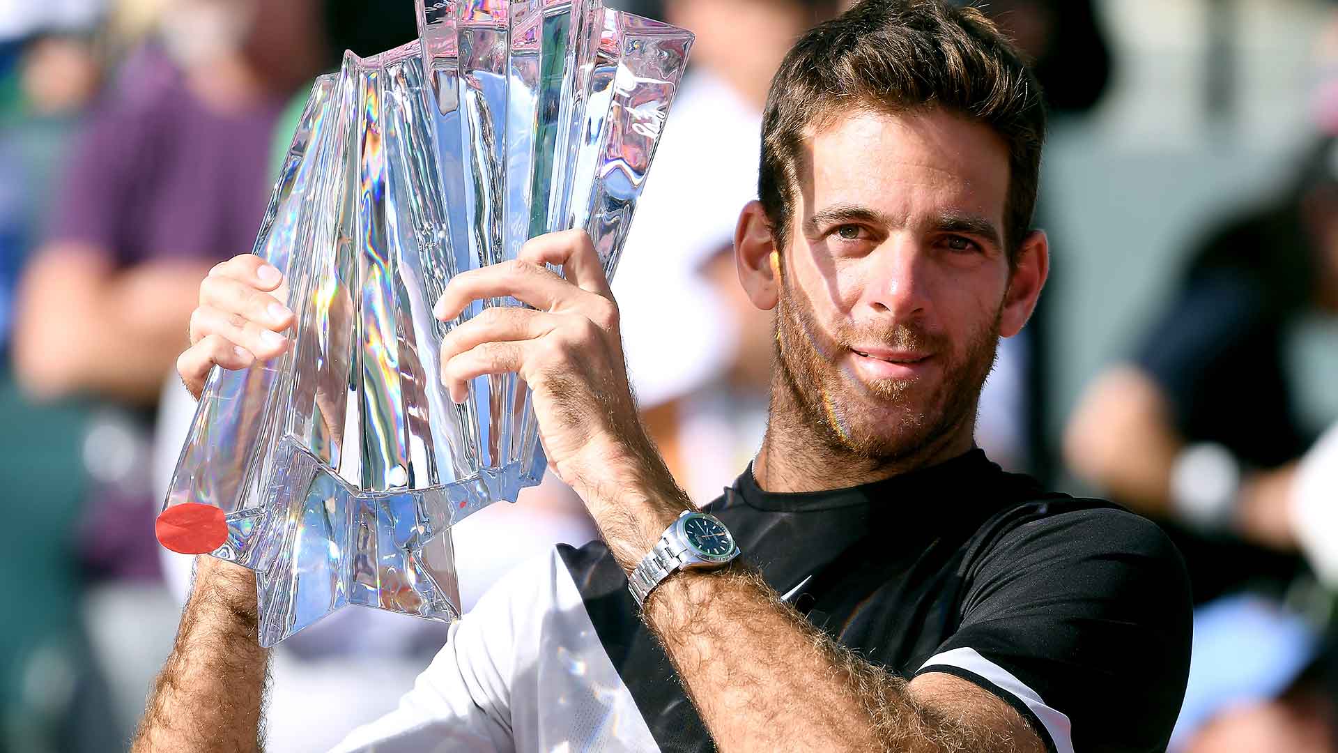 Del Potro
